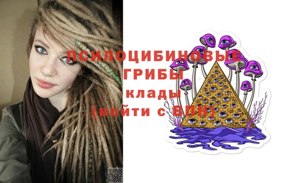 ALPHA PVP Алексин